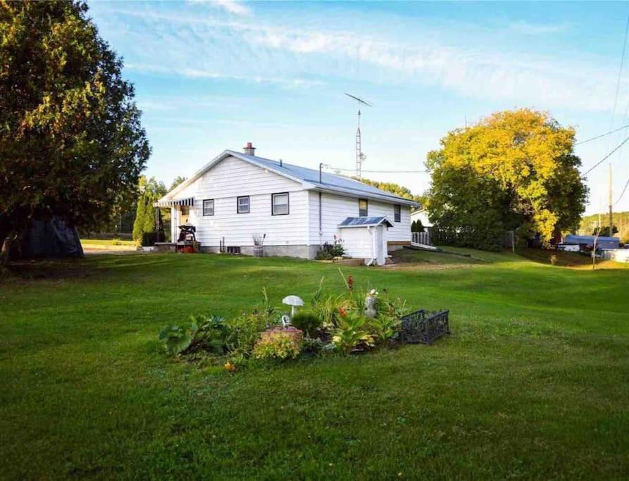 Private Cottage With Huge Private Dog Park! Barrys Bay Esterno foto