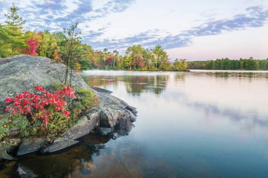 Private Cottage With Huge Private Dog Park! Barrys Bay Esterno foto