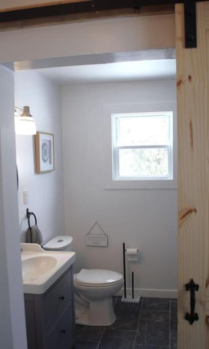 Private Cottage With Huge Private Dog Park! Barrys Bay Esterno foto
